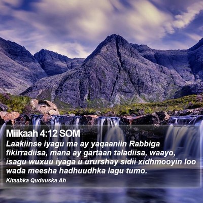 Miikaah 4:12 SOM Bible Verse Image