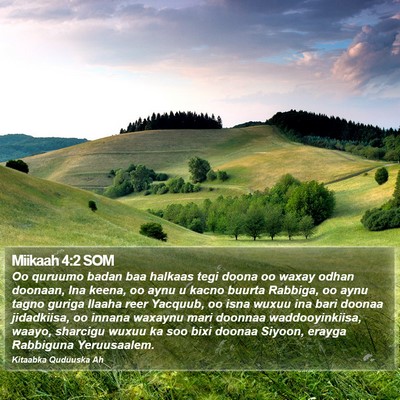 Miikaah 4:2 SOM Bible Verse Image