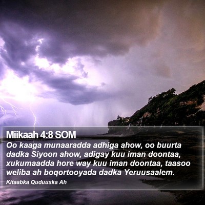 Miikaah 4:8 SOM Bible Verse Image