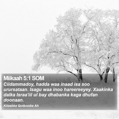Miikaah 5:1 SOM Bible Verse Image