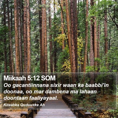 Miikaah 5:12 SOM Bible Verse Image