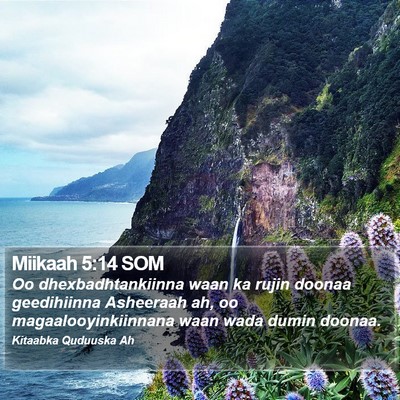 Miikaah 5:14 SOM Bible Verse Image