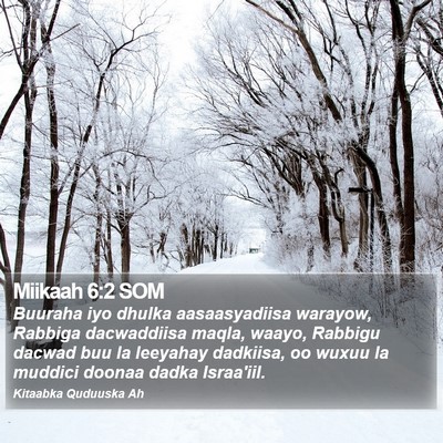 Miikaah 6:2 SOM Bible Verse Image