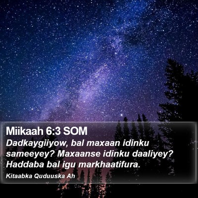Miikaah 6:3 SOM Bible Verse Image