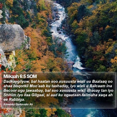 Miikaah 6:5 SOM Bible Verse Image