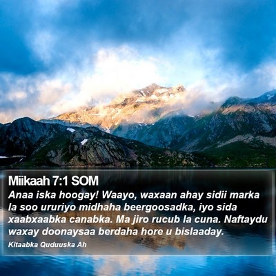 Miikaah 7:1 SOM Bible Verse Image