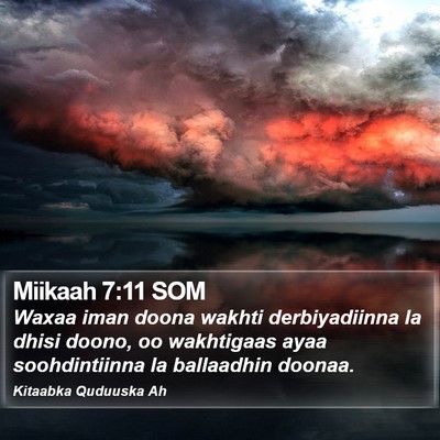 Miikaah 7:11 SOM Bible Verse Image