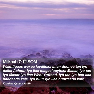Miikaah 7:12 SOM Bible Verse Image