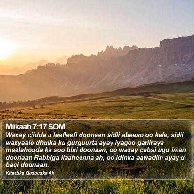 Miikaah 7:17 SOM Bible Verse Image