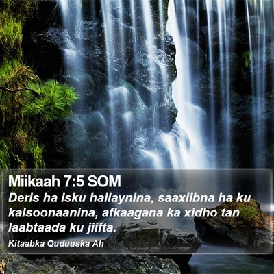 Miikaah 7:5 SOM Bible Verse Image