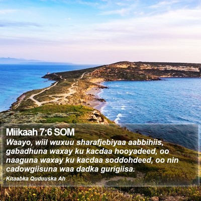 Miikaah 7:6 SOM Bible Verse Image