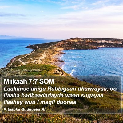 Miikaah 7:7 SOM Bible Verse Image