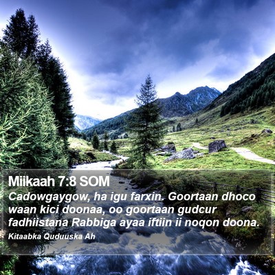Miikaah 7:8 SOM Bible Verse Image