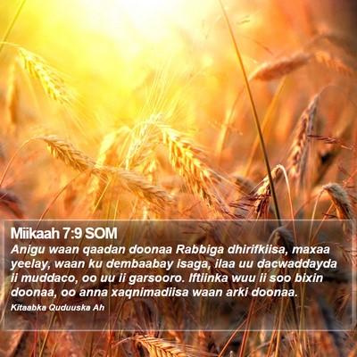 Miikaah 7:9 SOM Bible Verse Image