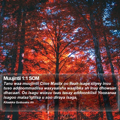 Muujintii 1:1 SOM Bible Verse Image