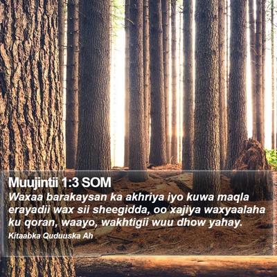 Muujintii 1:3 SOM Bible Verse Image
