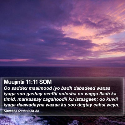 Muujintii 11:11 SOM Bible Verse Image