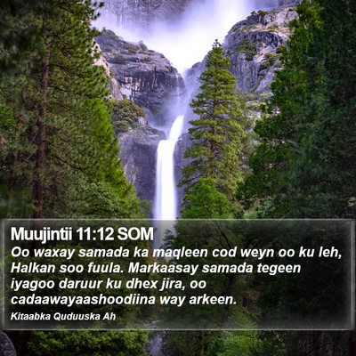 Muujintii 11:12 SOM Bible Verse Image