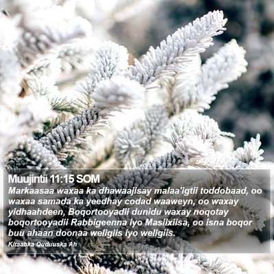 Muujintii 11:15 SOM Bible Verse Image
