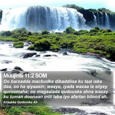 Muujintii 11:2 SOM Bible Verse Image