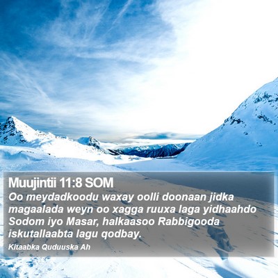 Muujintii 11:8 SOM Bible Verse Image