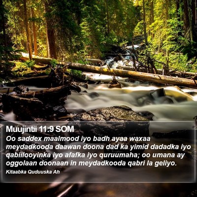 Muujintii 11:9 SOM Bible Verse Image