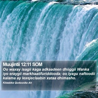 Muujintii 12:11 SOM Bible Verse Image