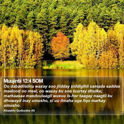 Muujintii 12:4 SOM Bible Verse Image