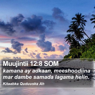 Muujintii 12:8 SOM Bible Verse Image
