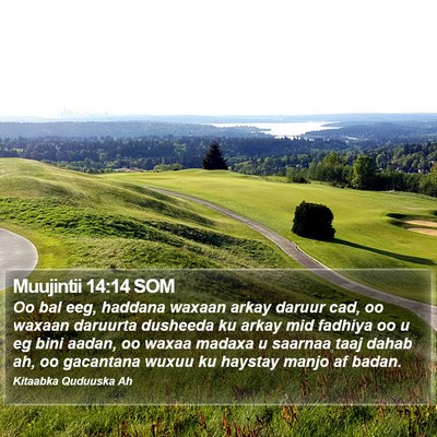 Muujintii 14:14 SOM Bible Verse Image