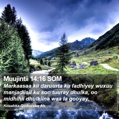 Muujintii 14:16 SOM Bible Verse Image