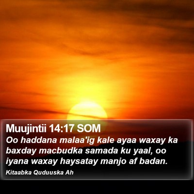 Muujintii 14:17 SOM Bible Verse Image