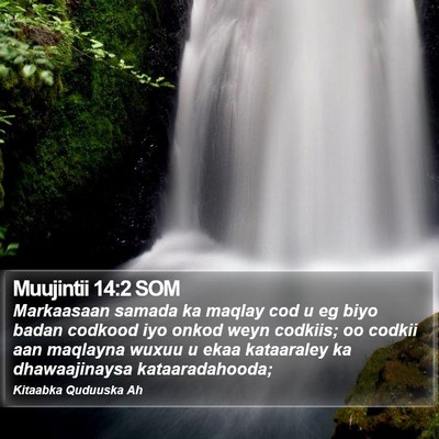 Muujintii 14:2 SOM Bible Verse Image