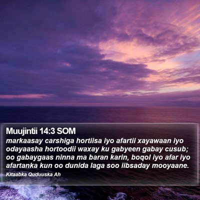 Muujintii 14:3 SOM Bible Verse Image