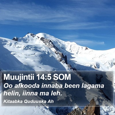 Muujintii 14:5 SOM Bible Verse Image