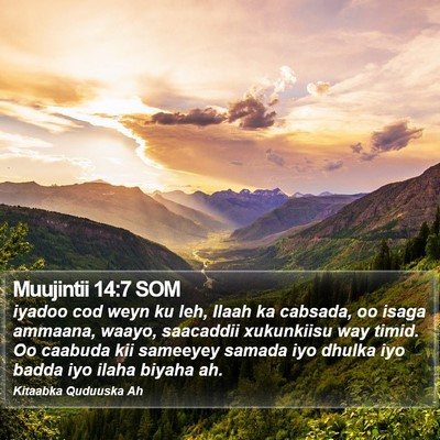 Muujintii 14:7 SOM Bible Verse Image