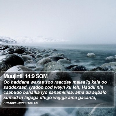 Muujintii 14:9 SOM Bible Verse Image