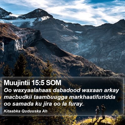 Muujintii 15:5 SOM Bible Verse Image