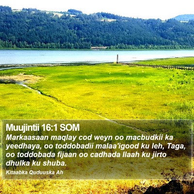 Muujintii 16:1 SOM Bible Verse Image