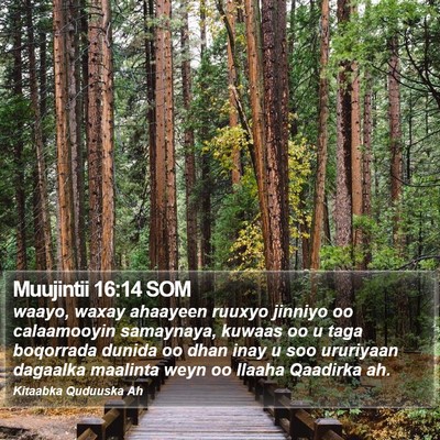 Muujintii 16:14 SOM Bible Verse Image