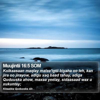 Muujintii 16:5 SOM Bible Verse Image