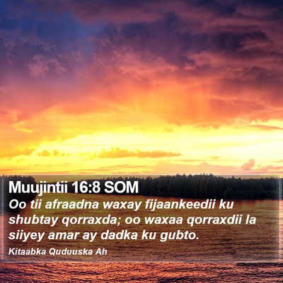Muujintii 16:8 SOM Bible Verse Image