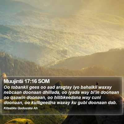 Muujintii 17:16 SOM Bible Verse Image