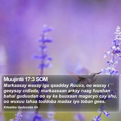 Muujintii 17:3 SOM Bible Verse Image