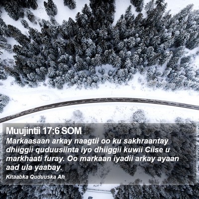 Muujintii 17:6 SOM Bible Verse Image