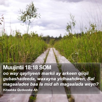 Muujintii 18:18 SOM Bible Verse Image