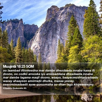Muujintii 18:23 SOM Bible Verse Image