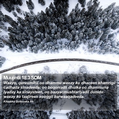 Muujintii 18:3 SOM Bible Verse Image