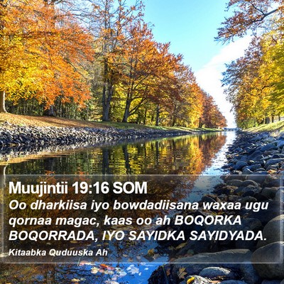 Muujintii 19:16 SOM Bible Verse Image