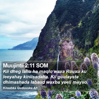 Muujintii 2:11 SOM Bible Verse Image